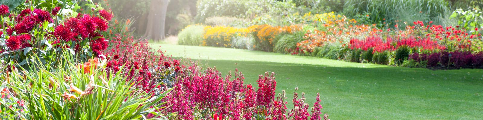 cunard gardening cruise